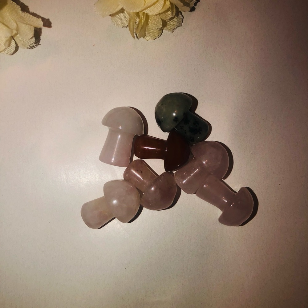 Mini Crystal Mushroom